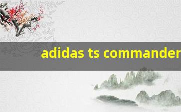 adidas ts commander lt